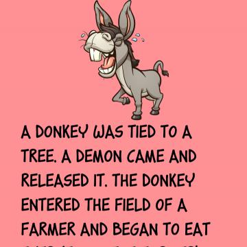 A Donkey Was Tied To A Tree