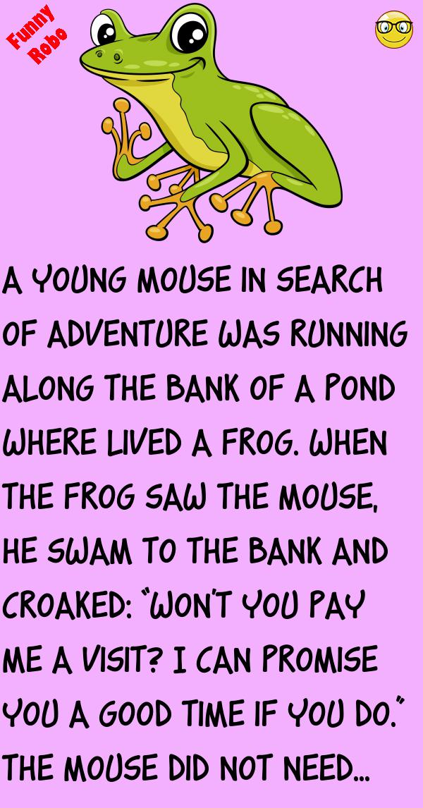 A FROG & A MOUSE FunnyRobo