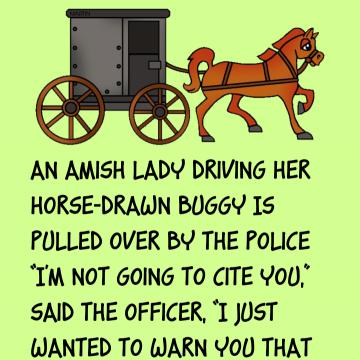 An Amish Lady Driving Her Horse-Drawn Buggy