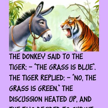 Donkey And Tiger