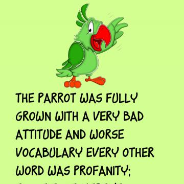 Joke: The Parrot Was Fully Grown With A Very Bad Attitude