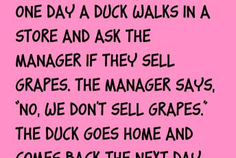 One Day A Duck Walks In A Store