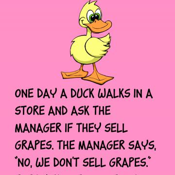 One Day A Duck Walks In A Store