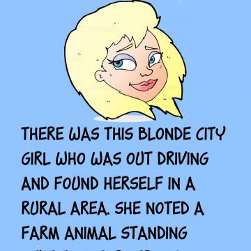 This Blonde City Girl Who Was Out Driving