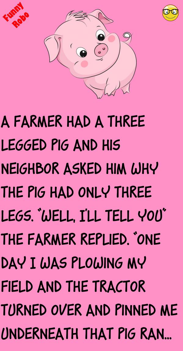 THREE LEGGED PIG FunnyRobo